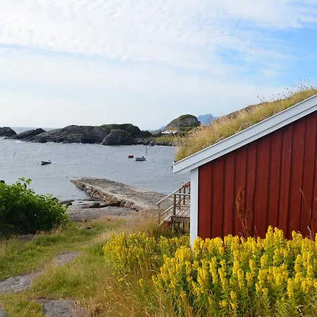Orman Evi Lofoten Rorbu *