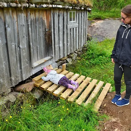 Orman Evi Lofoten Rorbu *