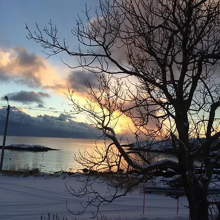 山林小屋 Lofoten Rorbu *